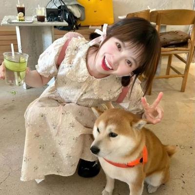 再婚进行时
