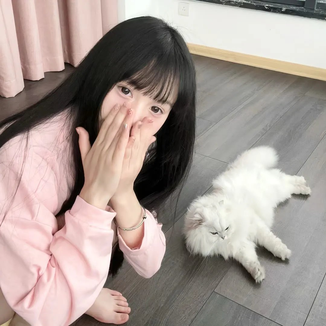 半田君传说